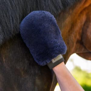 Lammeskinds Handske Blå